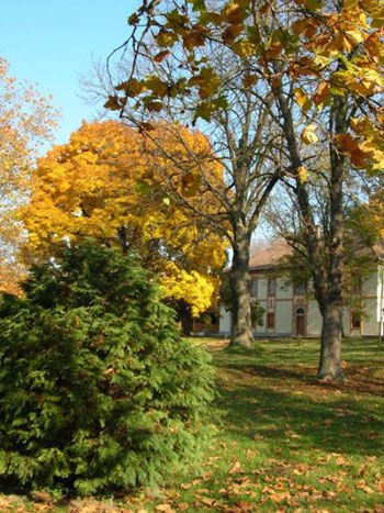 Horpácsi Mikszáth Park
